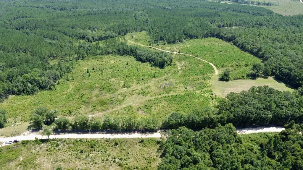 0 Louella Road Tract Mcintosh AL 36553