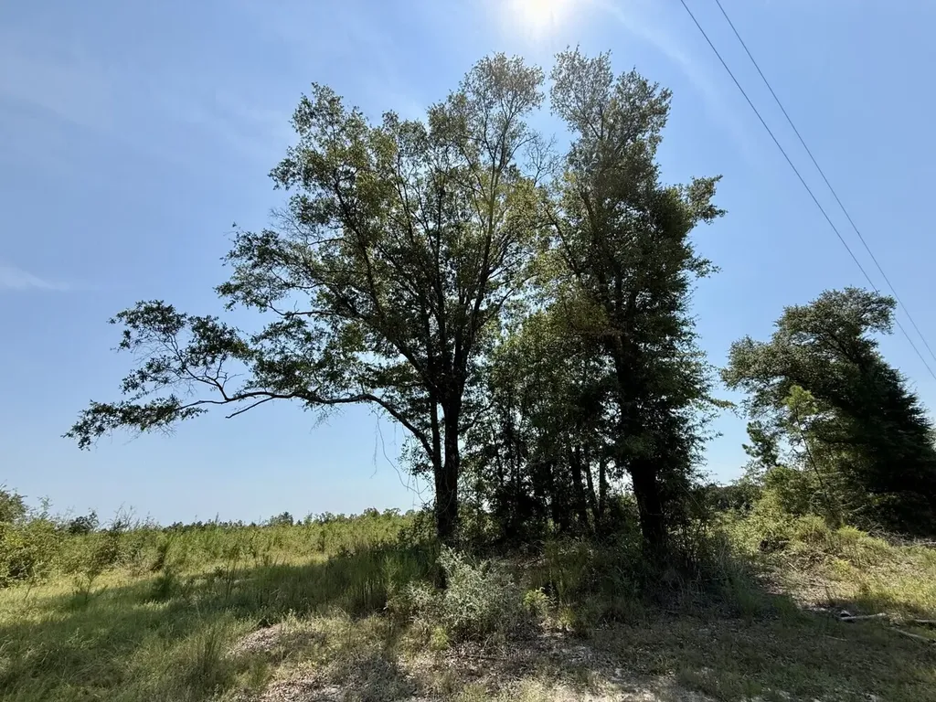 0 Louella Road Tract Mcintosh AL 36553