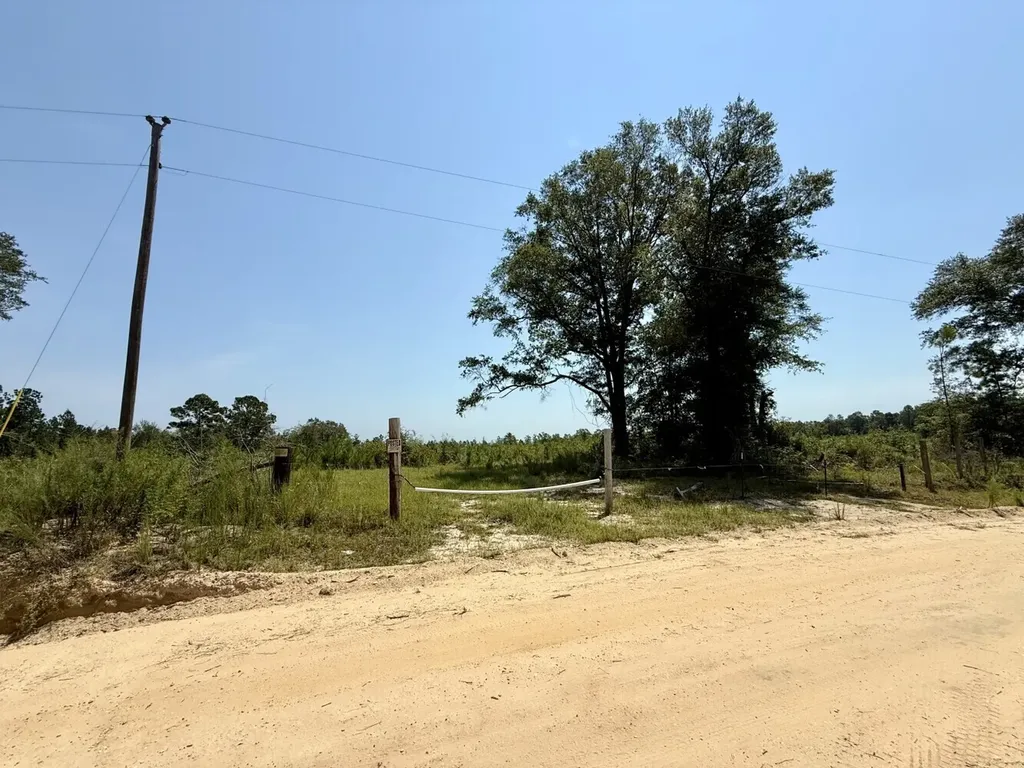 0 Louella Road Tract Mcintosh AL 36553