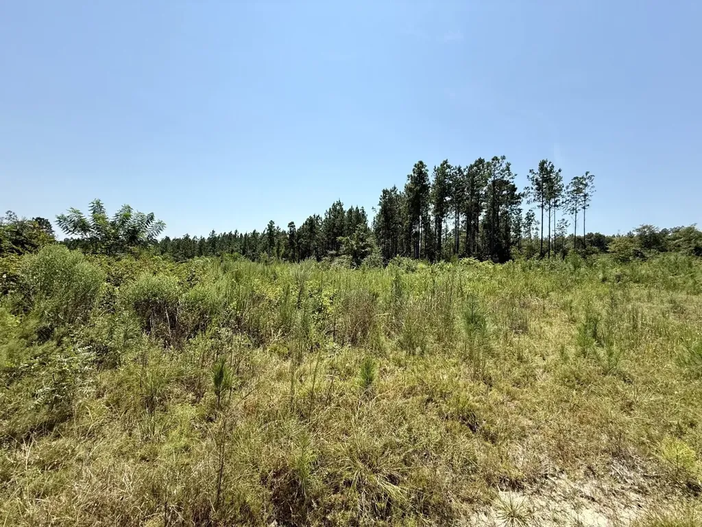 0 Louella Road Tract Mcintosh AL 36553