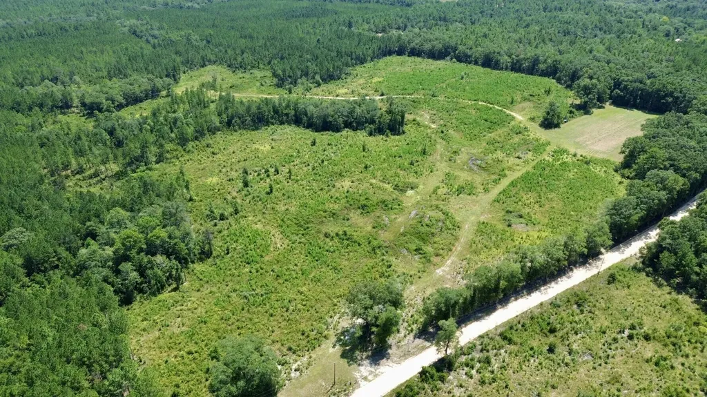 0 Louella Road Tract Mcintosh AL 36553