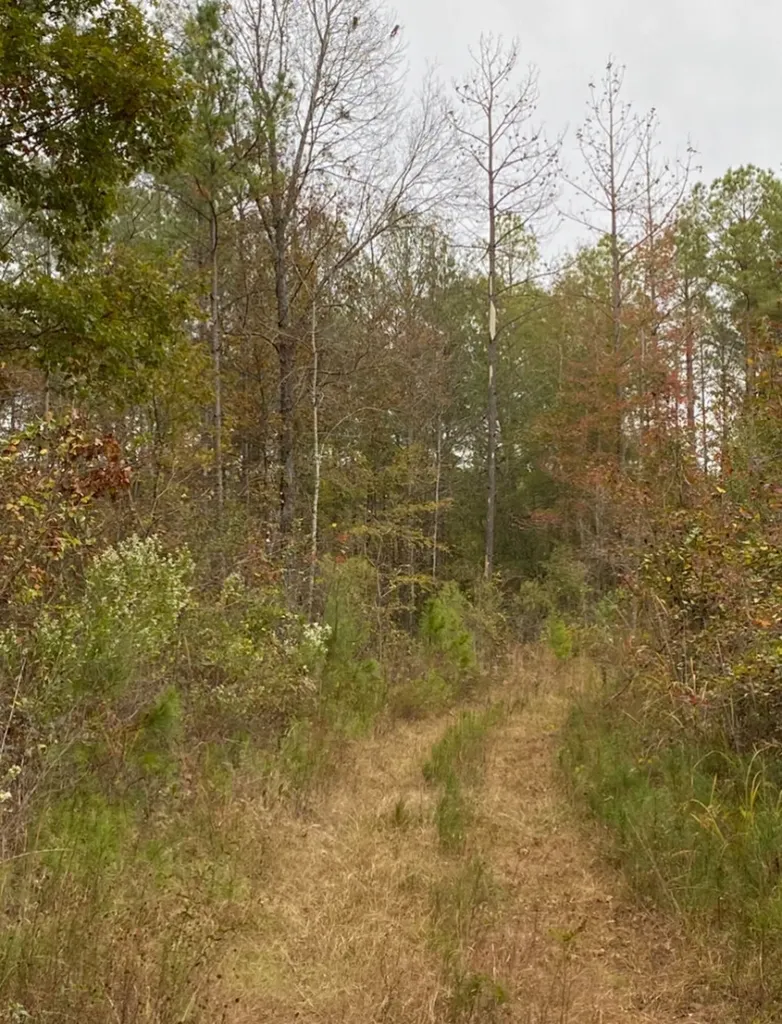 0 Highway 49 Chelsea AL 35043