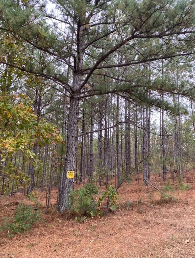 0 Highway 49 Chelsea AL 35043