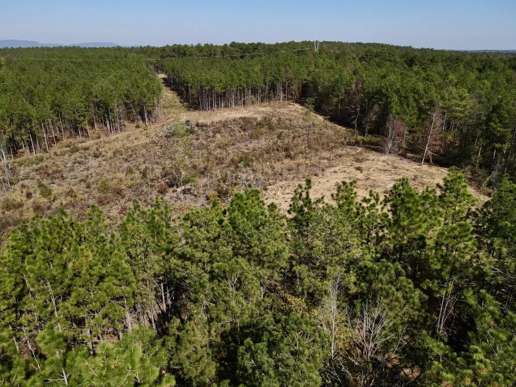 0 Highway 49 Chelsea AL 35043