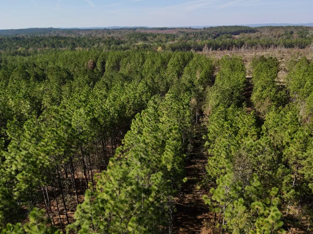 0 Highway 49 Chelsea AL 35043