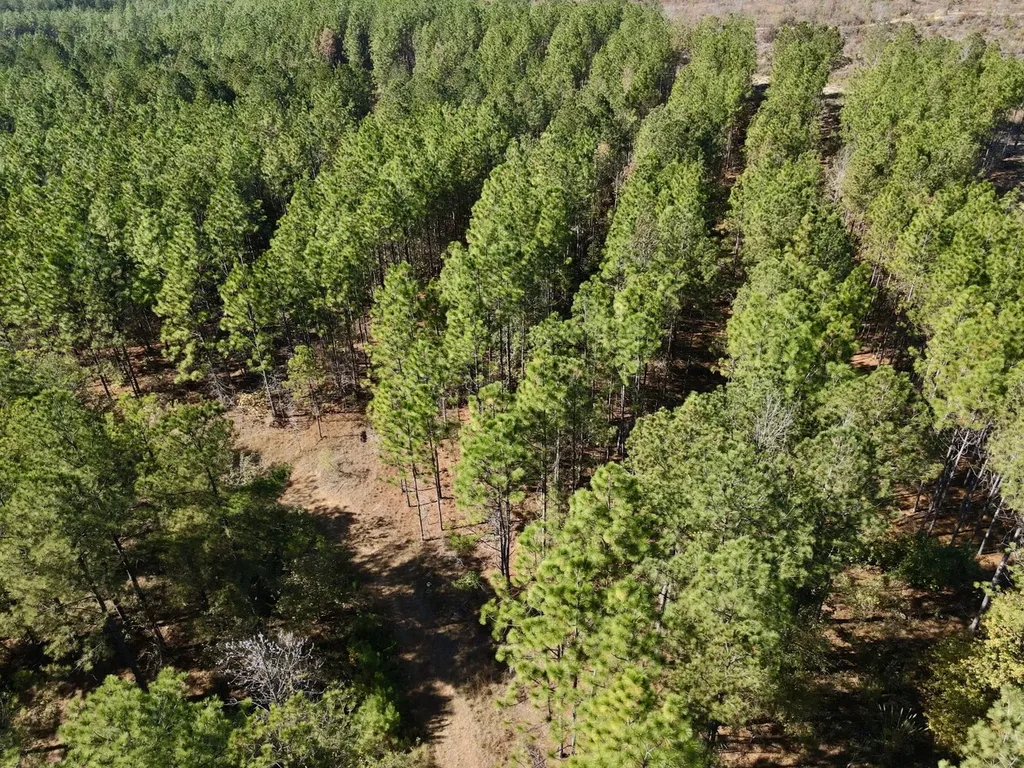 0 Highway 49 Chelsea AL 35043