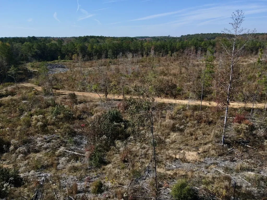 0 Highway 49 Chelsea AL 35043