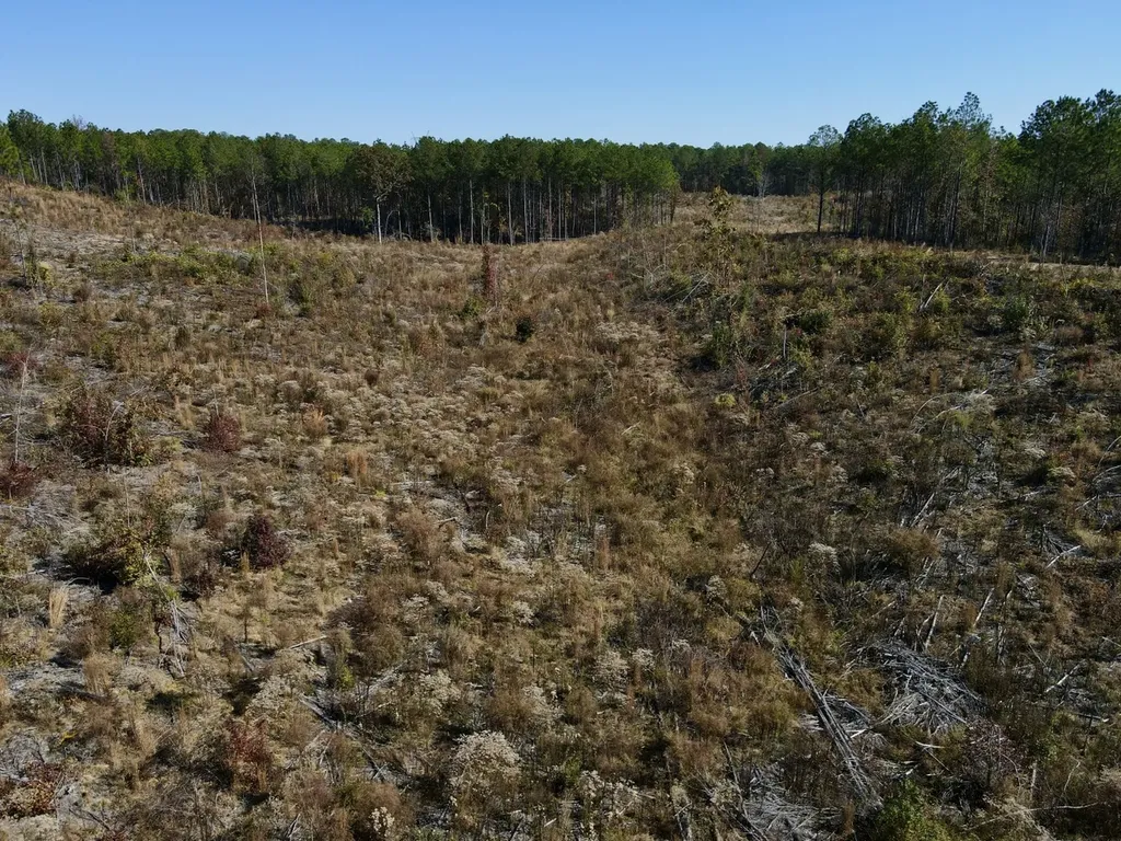 0 Highway 49 Chelsea AL 35043