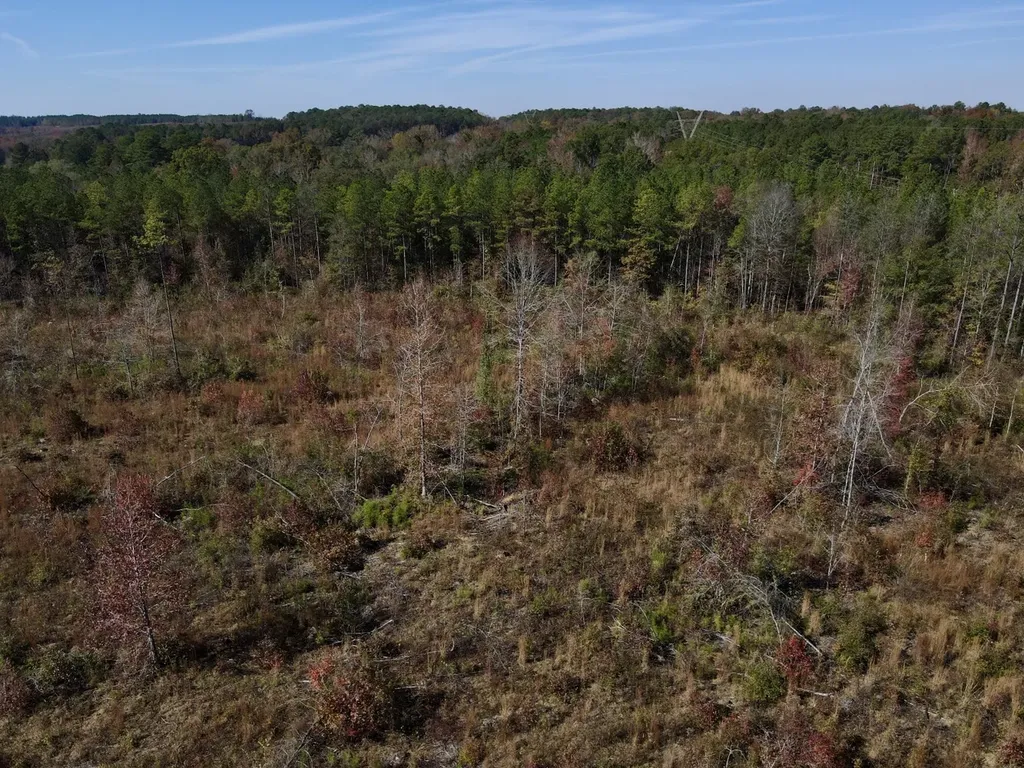 0 Highway 49 Chelsea AL 35043