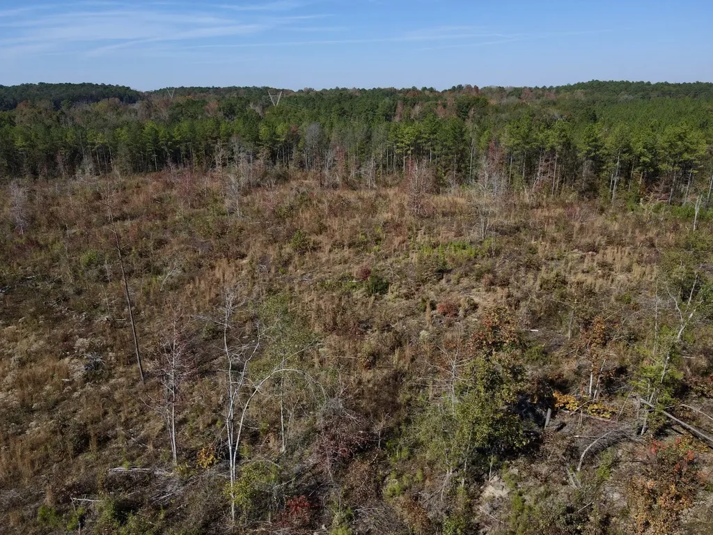 0 Highway 49 Chelsea AL 35043