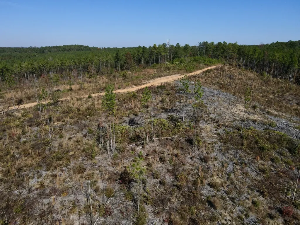 0 Highway 49 Chelsea AL 35043