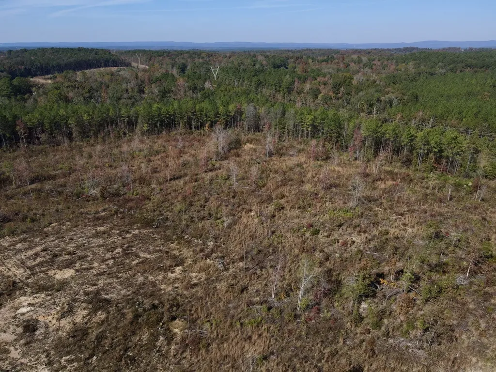 0 Highway 49 Chelsea AL 35043