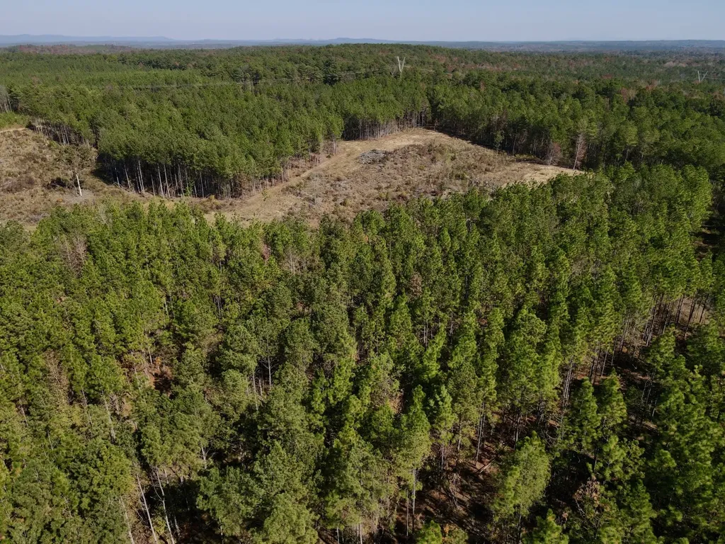 0 Highway 49 Chelsea AL 35043