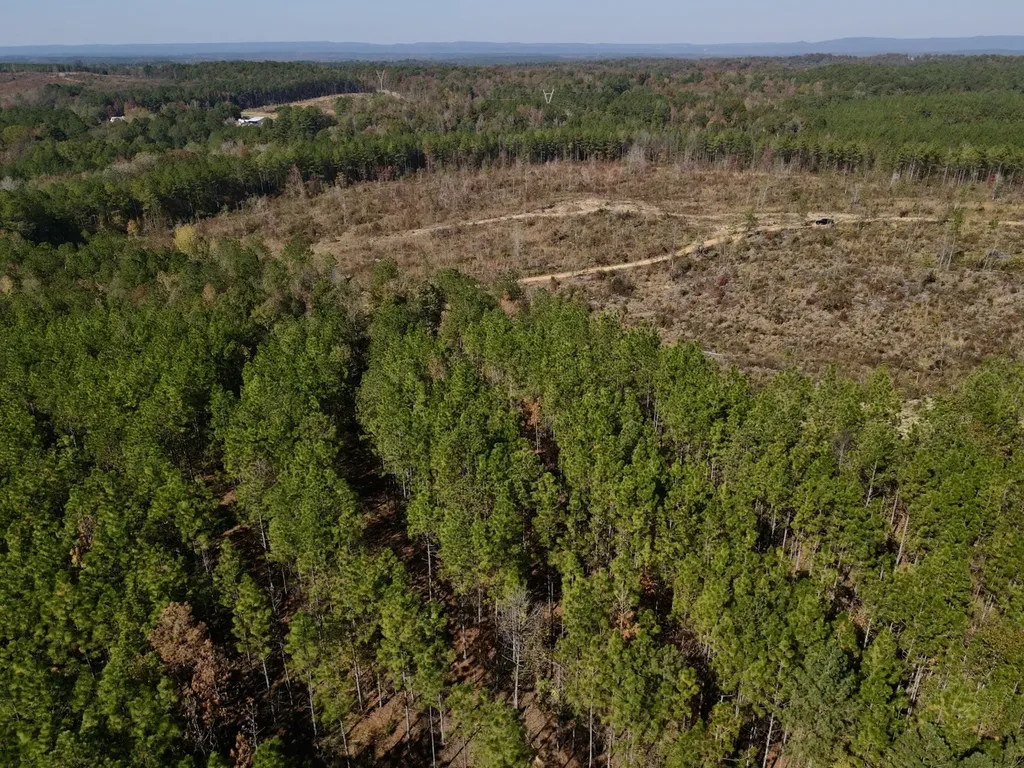 0 Highway 49 Chelsea AL 35043