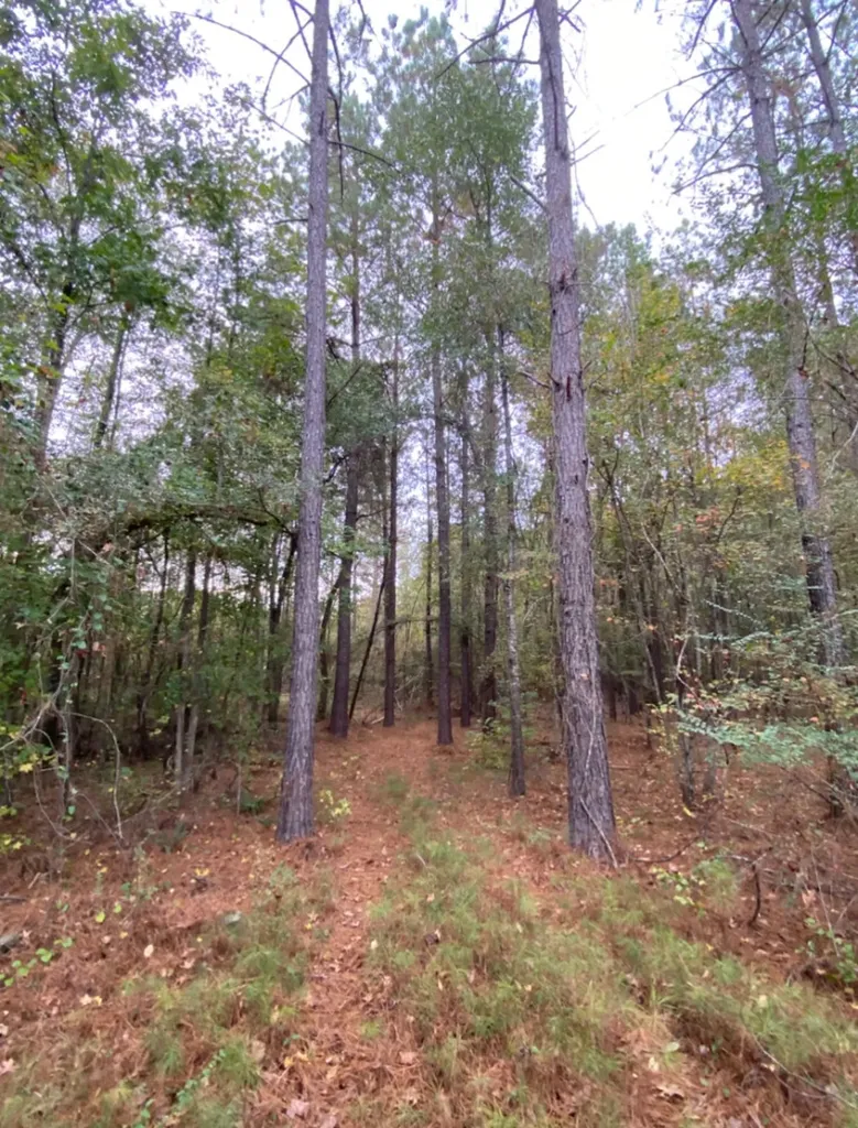 0 Highway 49 Chelsea AL 35043