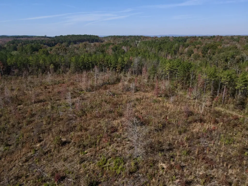 0 Highway 49 Chelsea AL 35043