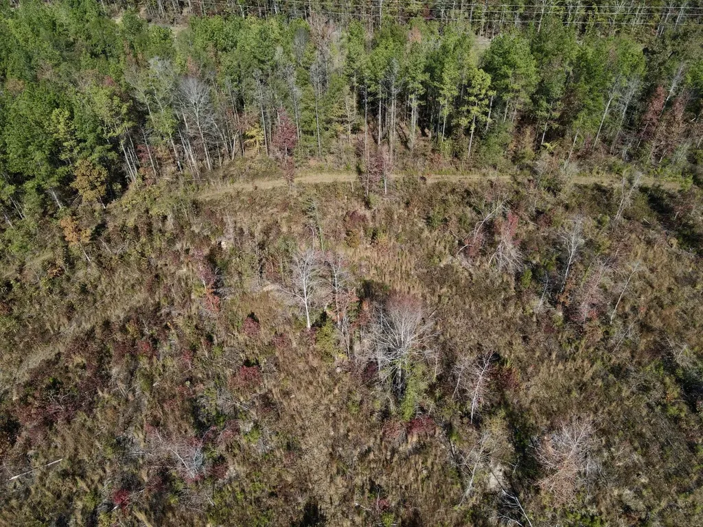 0 Highway 49 Chelsea AL 35043