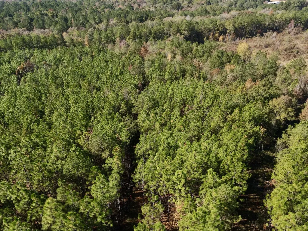 0 Highway 49 Chelsea AL 35043