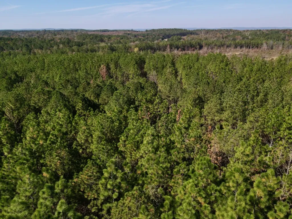 0 Highway 49 Chelsea AL 35043