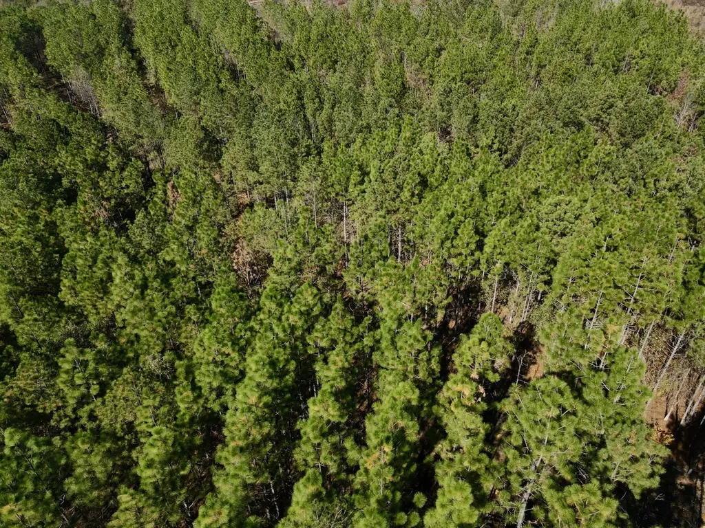 0 Highway 49 Chelsea AL 35043