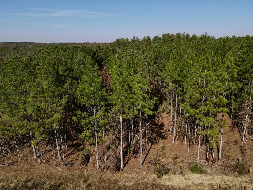 0 Highway 49 Chelsea AL 35043