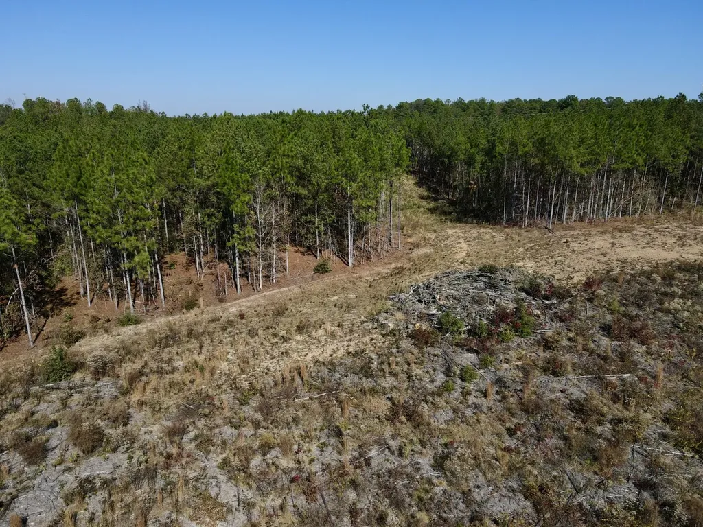 0 Highway 49 Chelsea AL 35043