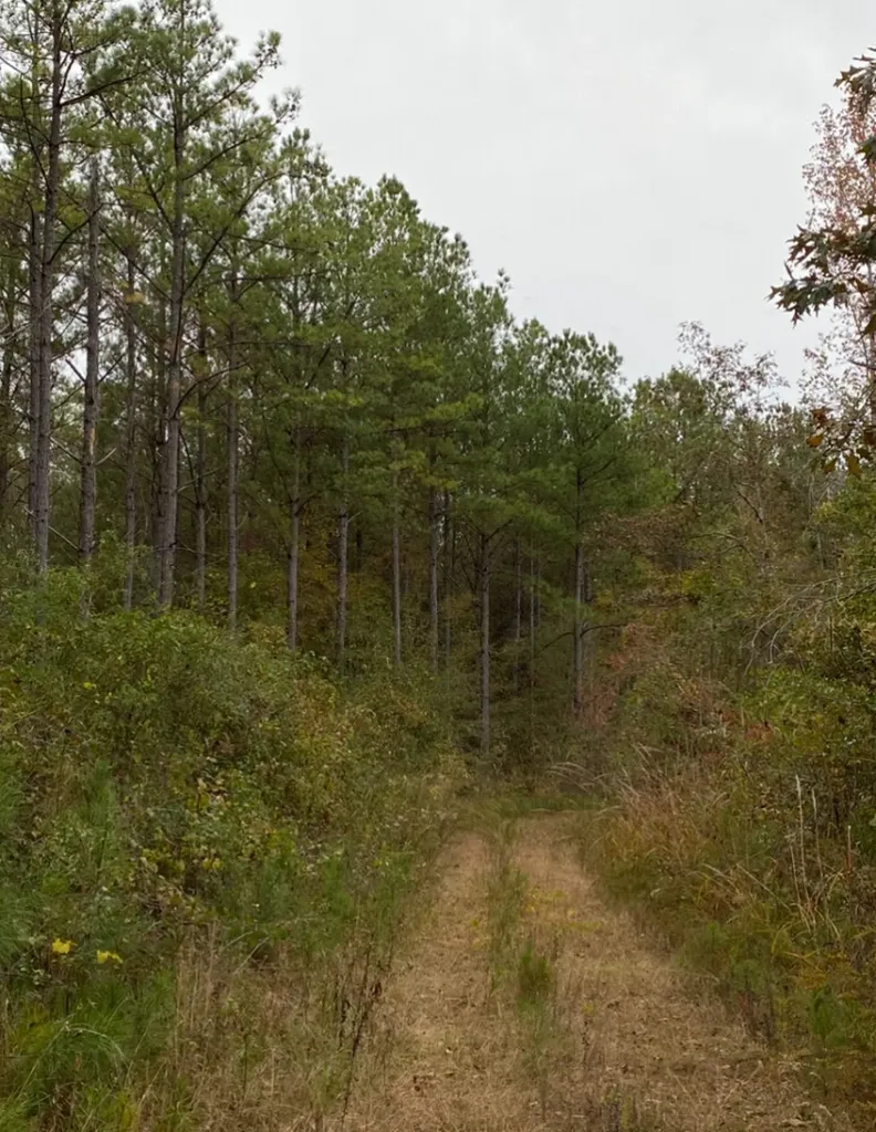 0 Highway 49 Chelsea AL 35043