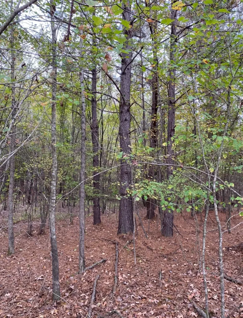 0 Highway 49 Chelsea AL 35043