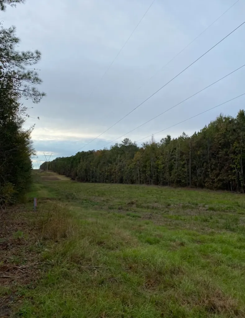 0 Highway 49 Chelsea AL 35043