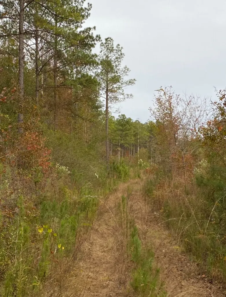 0 Highway 49 Chelsea AL 35043