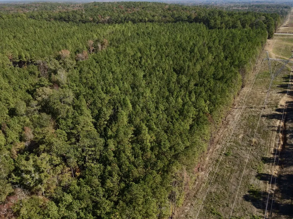 0 Highway 49 Chelsea AL 35043