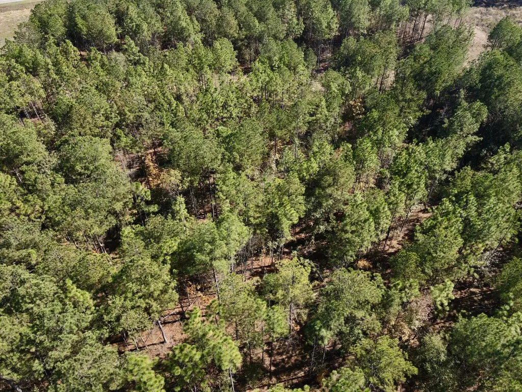 0 Highway 49 Chelsea AL 35043