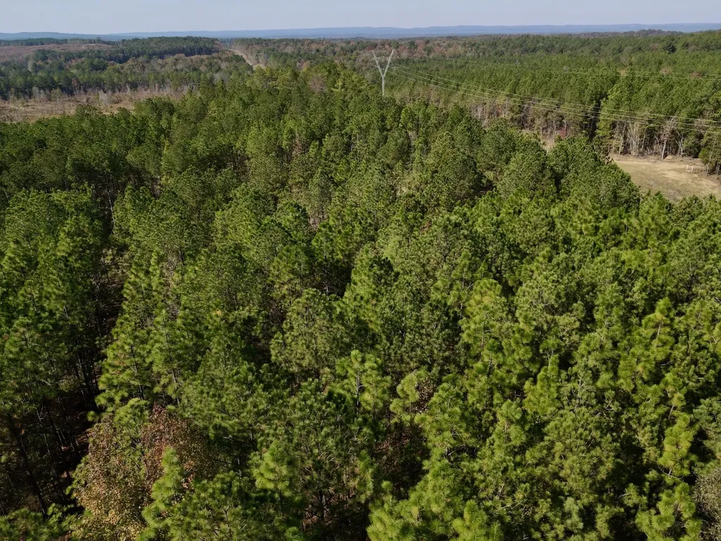 0 Highway 49 Chelsea AL 35043