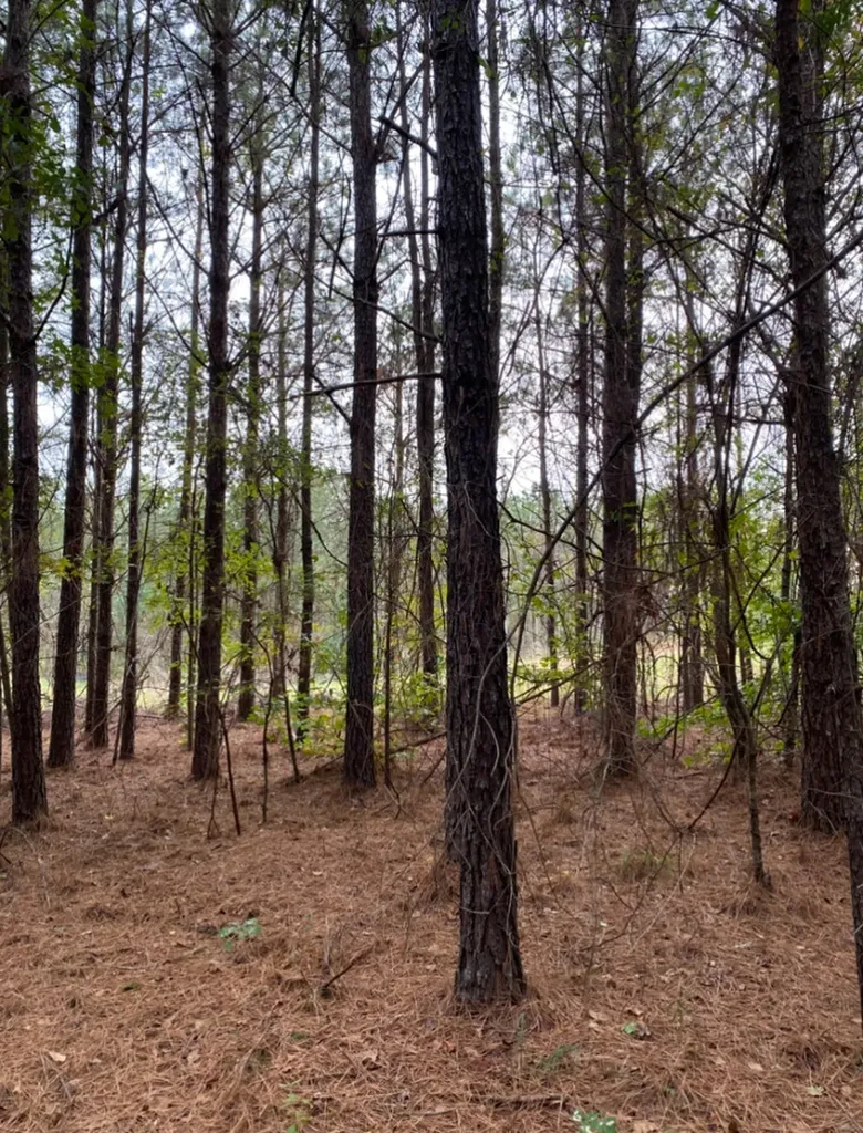 0 Highway 49 Chelsea AL 35043