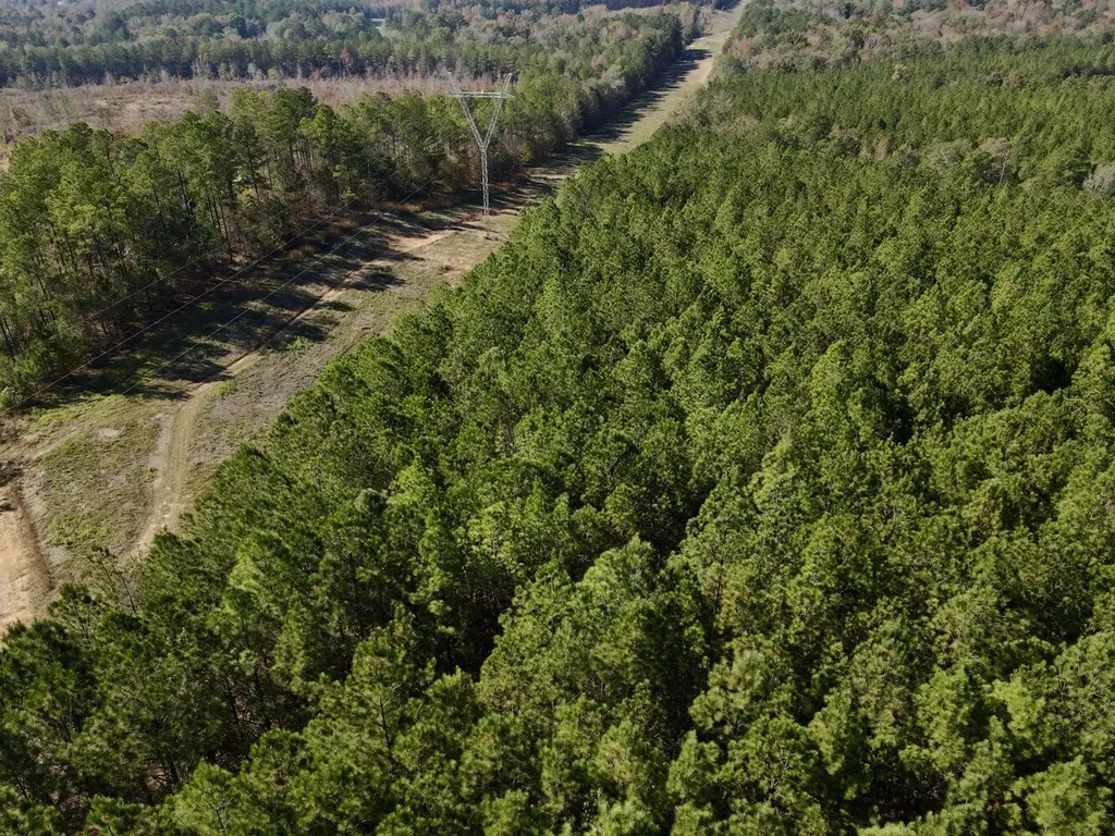 0 Highway 49 Chelsea AL 35043