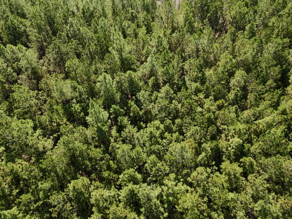 0 Highway 49 Chelsea AL 35043