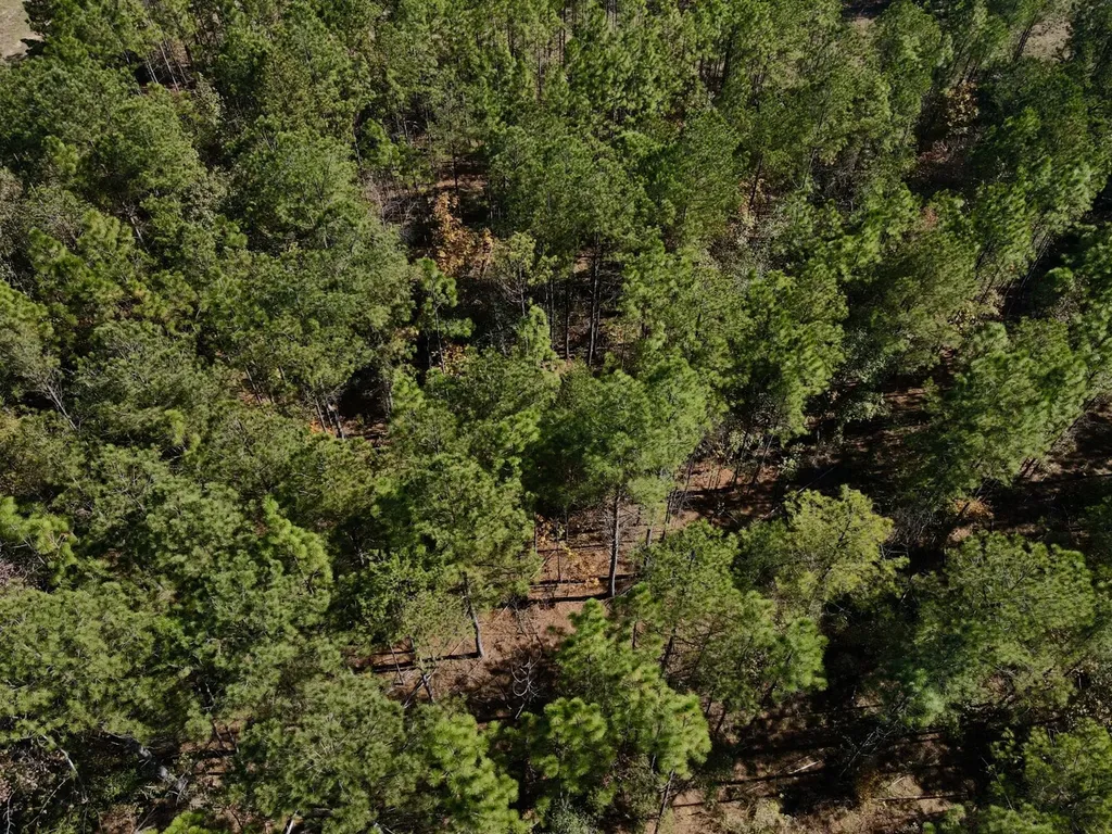 0 Highway 49 Chelsea AL 35043