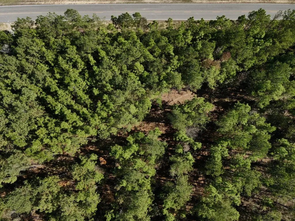 0 Highway 49 Chelsea AL 35043