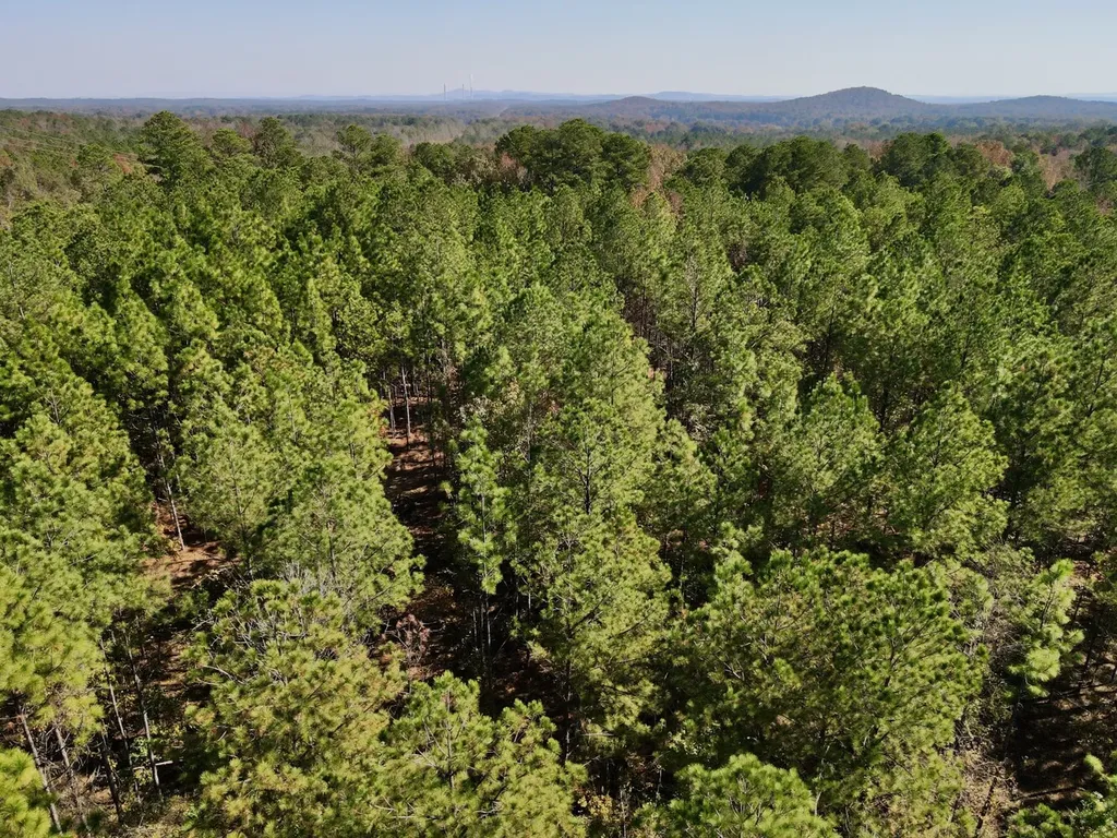 0 Highway 49 Chelsea AL 35043