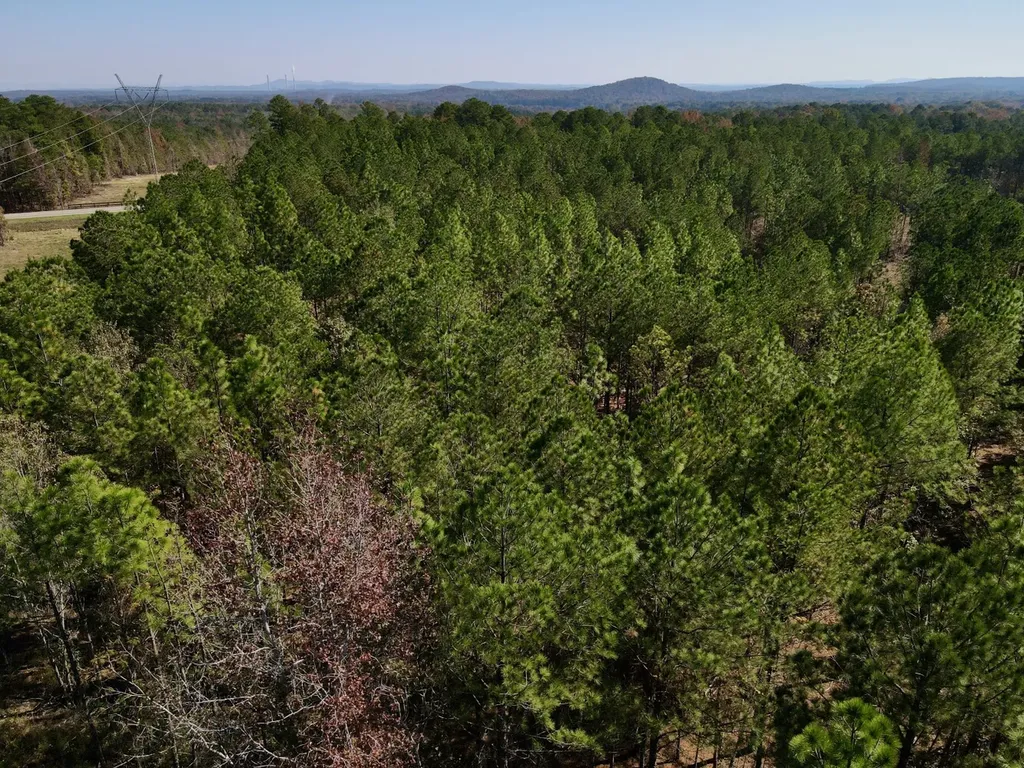 0 Highway 49 Chelsea AL 35043