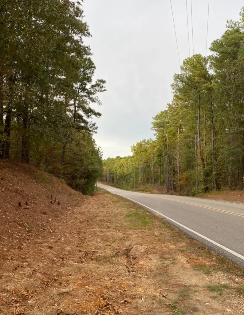 0 Highway 49 Chelsea AL 35043