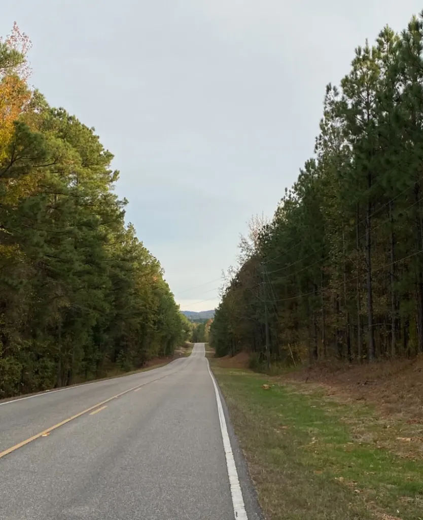 0 Highway 49 Chelsea AL 35043