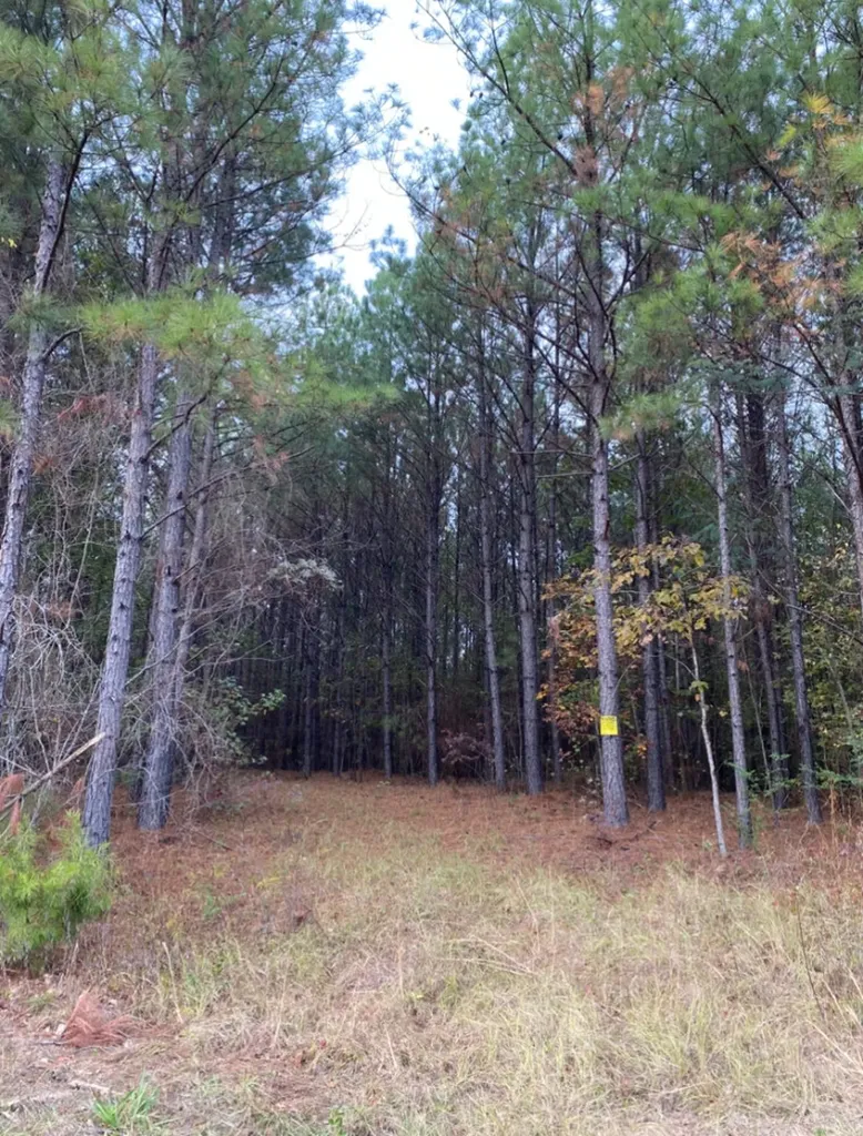 0 Highway 49 Chelsea AL 35043