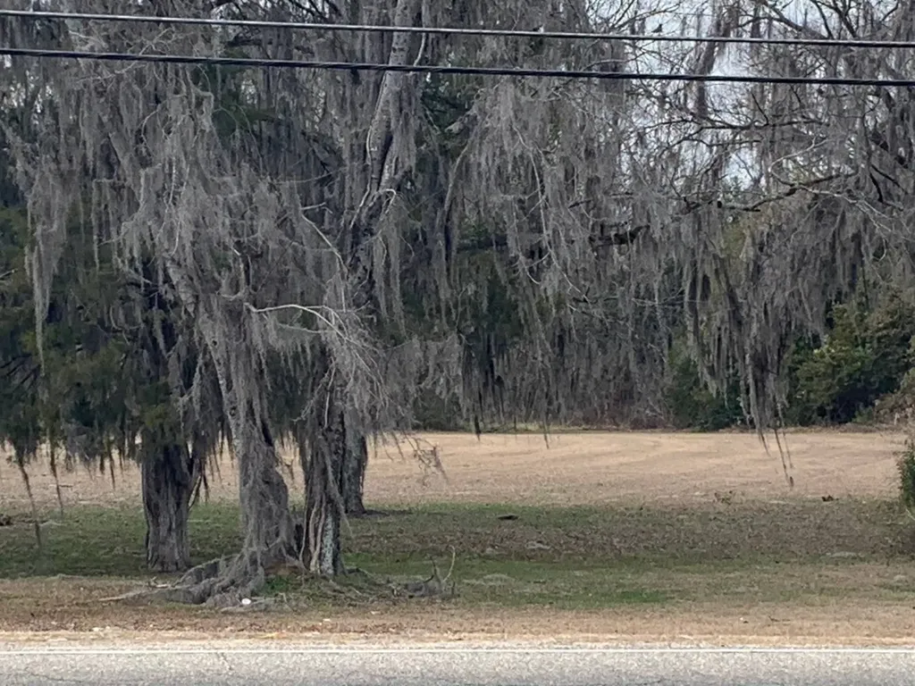 3137 County Road 43 Montgomery AL 36117