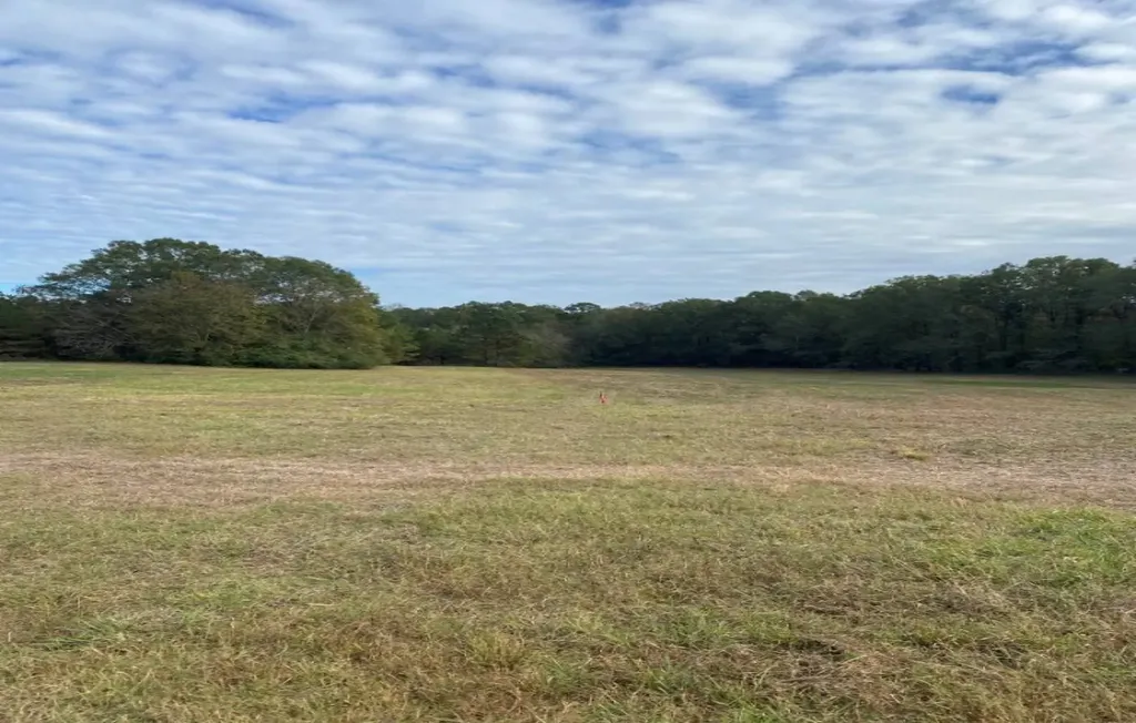 16123 County Road 9 Fitzpatrick AL 36029