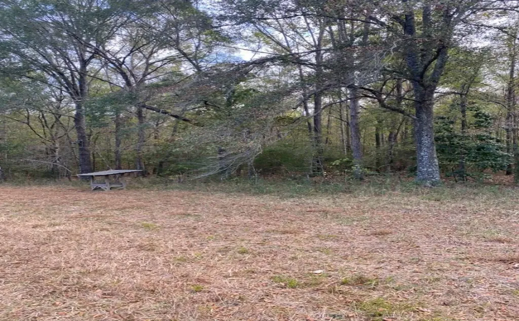 16123 County Road 9 Fitzpatrick AL 36029