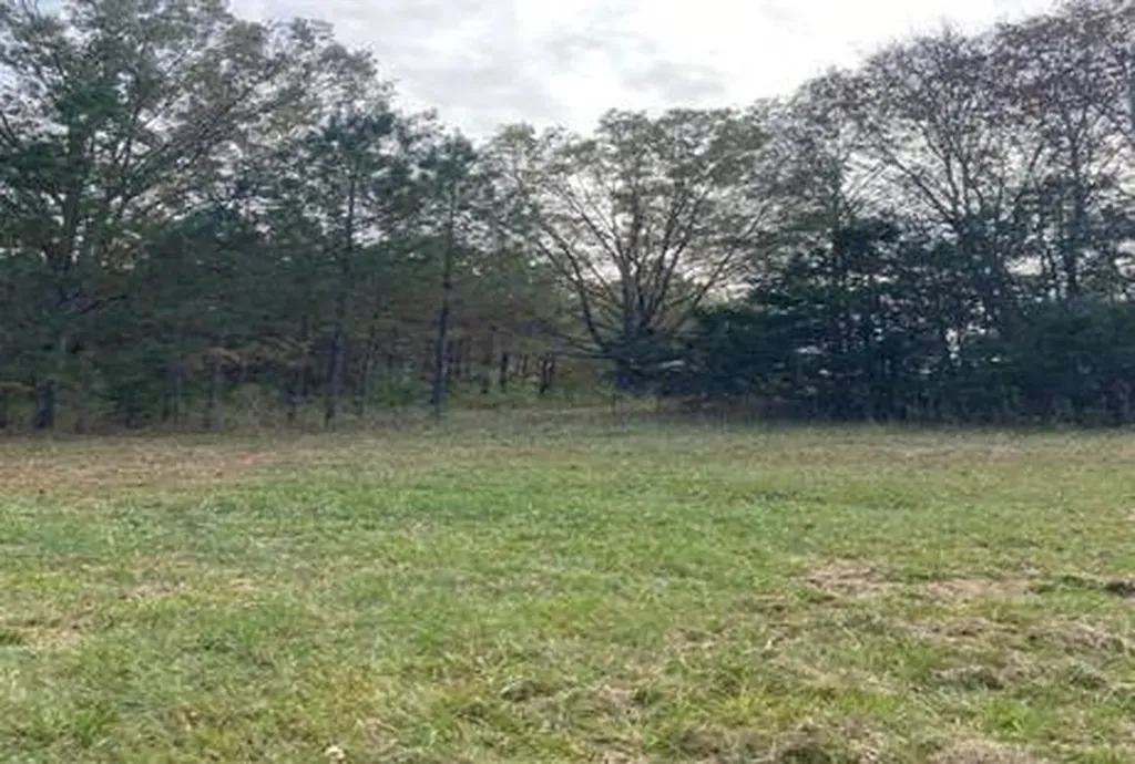 16123 County Road 9 Fitzpatrick AL 36029