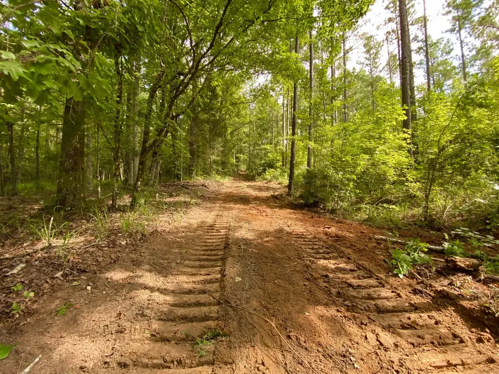 0 Highway 5 Marion AL 36756