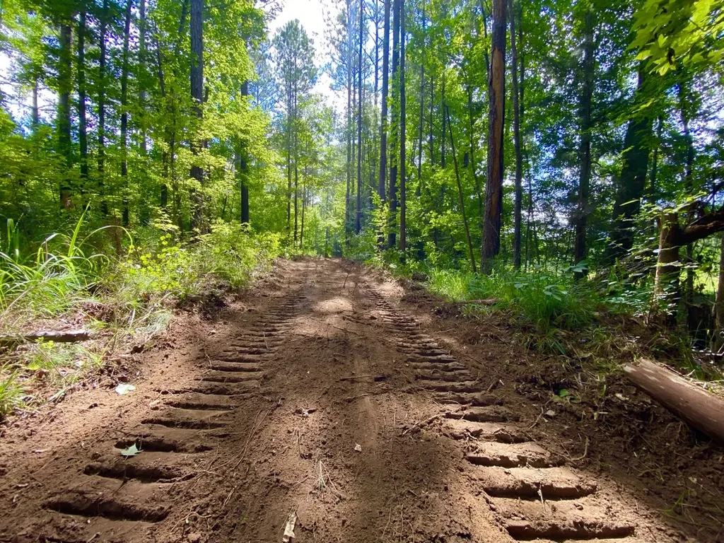 0 Highway 5 Marion AL 36756