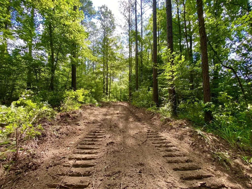 0 Highway 5 Marion AL 36756